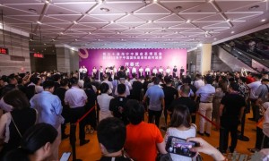 为什么品牌选择海宁？