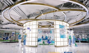 “守护江豚，共筑生态之梦”|巴拉巴拉携手赛得利与正大广场，带你探秘“江豚去哪儿了”多彩鄱阳湖环保公益艺术展