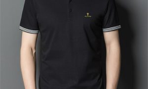 啄木鸟经典品质POLO衫 尽显男人魅力